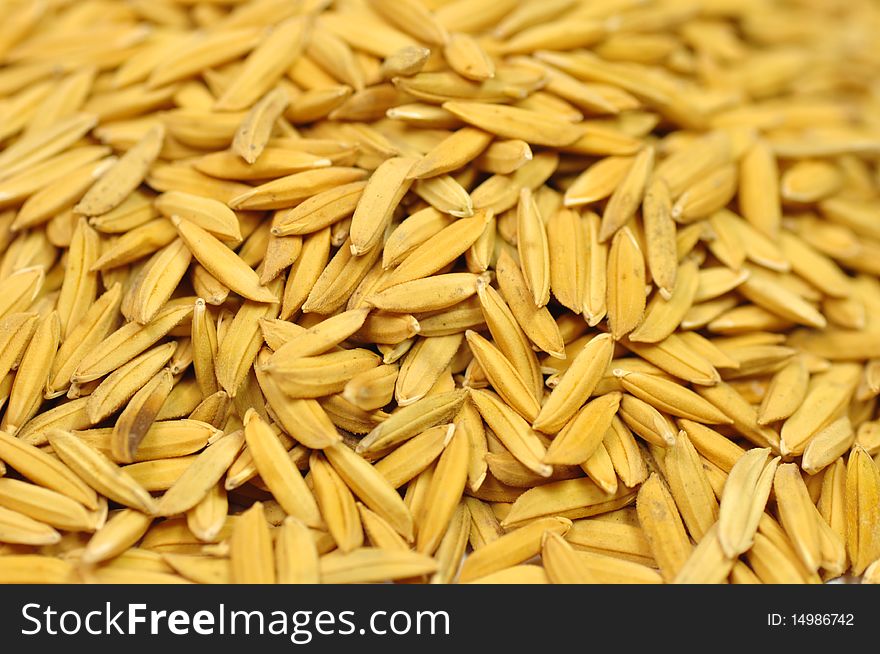 Macro of brown rice background.