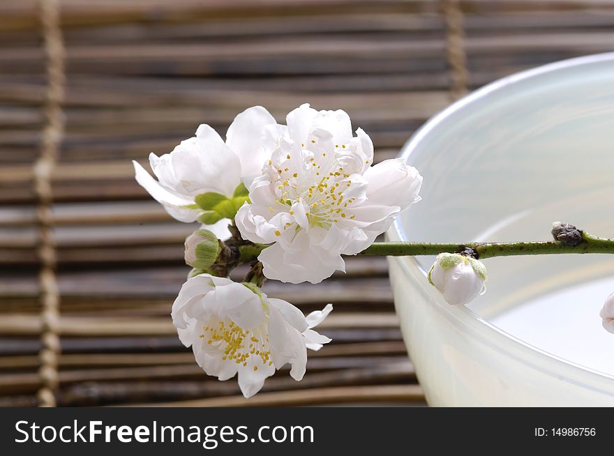 Bowl of cherry blossoms on bamboo mat. Bowl of cherry blossoms on bamboo mat