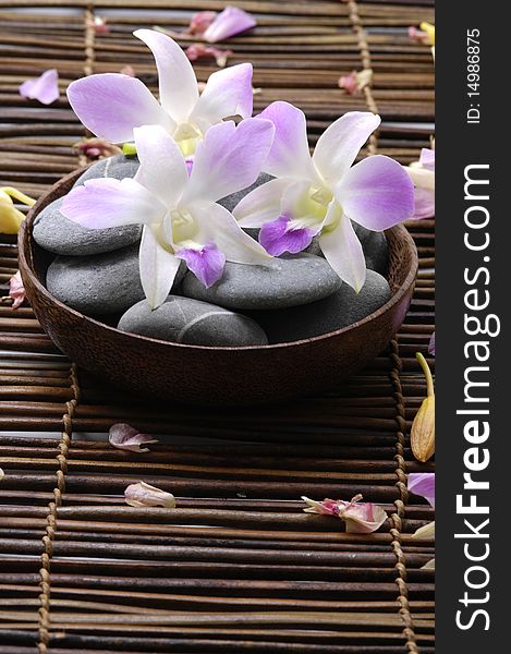 Beautiful orchid and stones in wooden bowl. Beautiful orchid and stones in wooden bowl