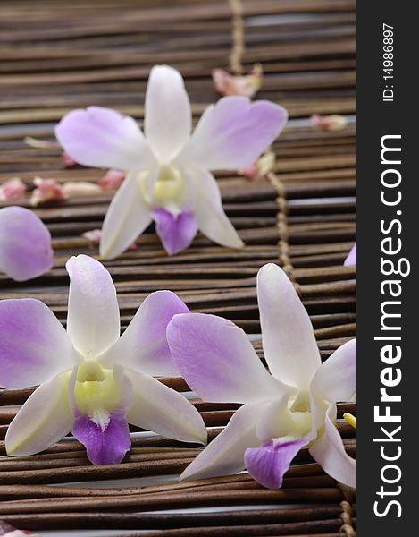 Pink orchid blossoms with petal on bamboo mat. Pink orchid blossoms with petal on bamboo mat