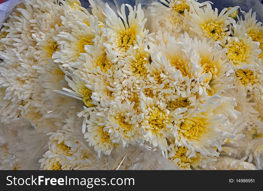 Flower in the market Chiang Mai thailand