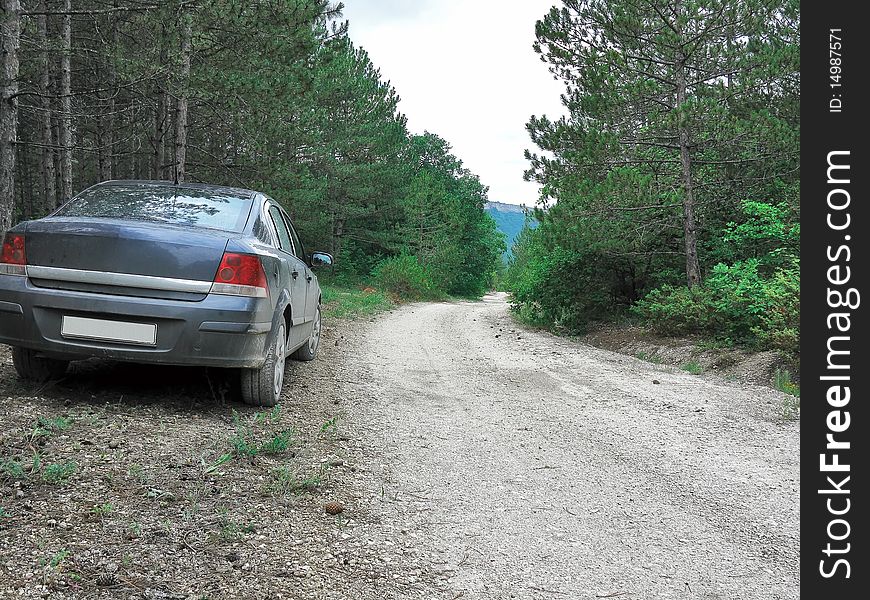 A car standing on a dirt road in Crimean forest