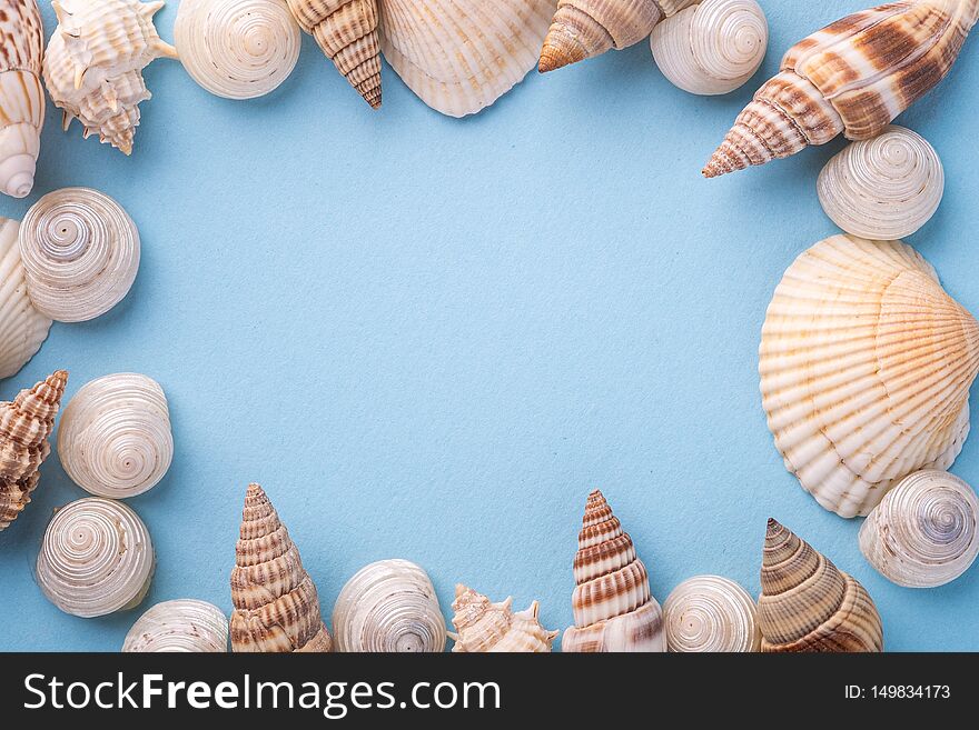 Summer texture copy space seashell top view blue background bright colors