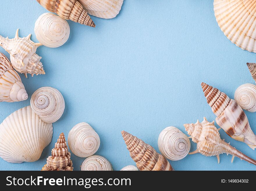 Summer texture copy space seashell top view blue background bright colors