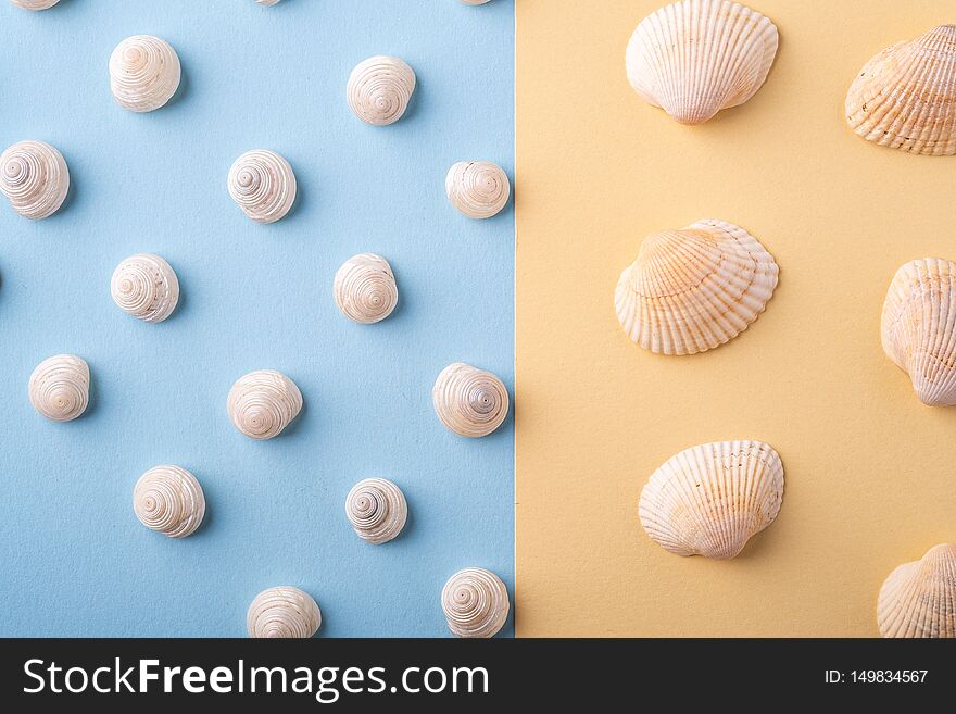 Summer texture pattern copy space seashell top view blue and yellow background bright colors