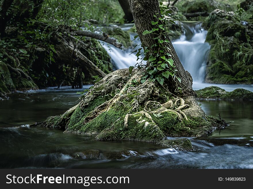 Small tree growing in river with falling small cascade in long exposure on background. Small tree growing in river with falling small cascade in long exposure on background