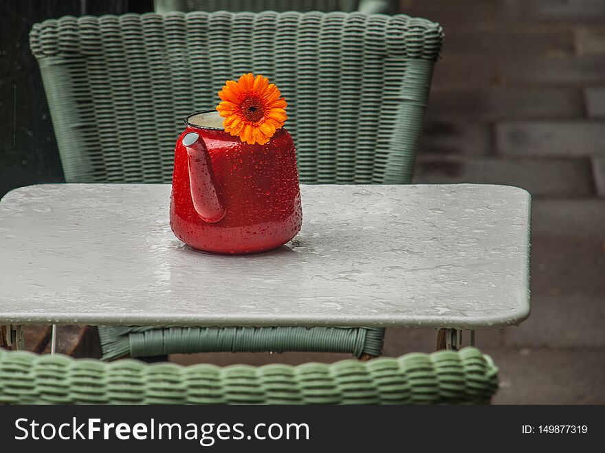 Calendula Flowers In Orange Teakettle On The White Table