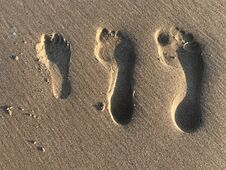 Free Familyâ€™s Foot Prints In The Sand Stock Image - 149899061