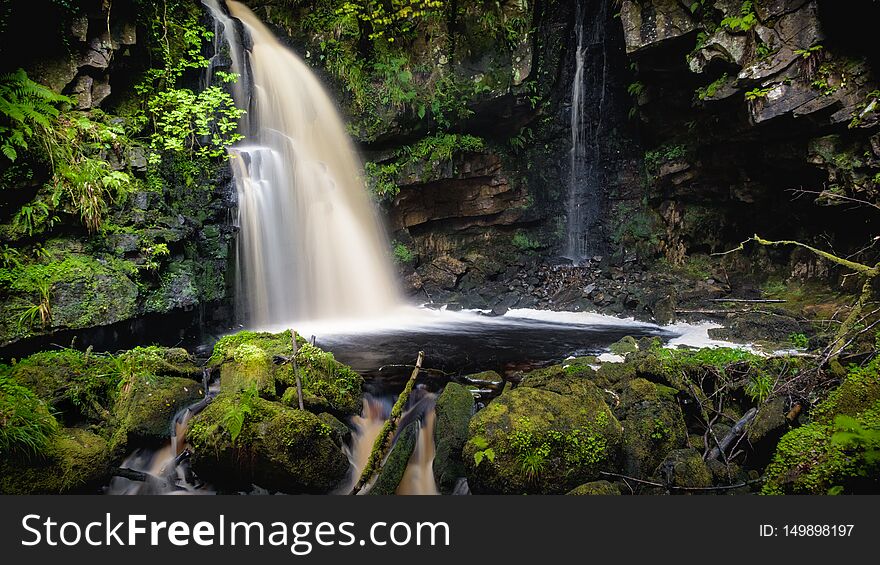 A small, undisturbed and uncultivated waterfall located within a forest in County Donegal, Ireland. A small, undisturbed and uncultivated waterfall located within a forest in County Donegal, Ireland.