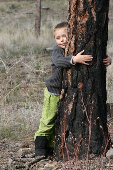 Boy In Woods Stock Photography