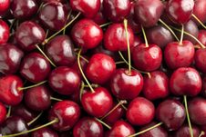 Red Cherries Background Stock Image
