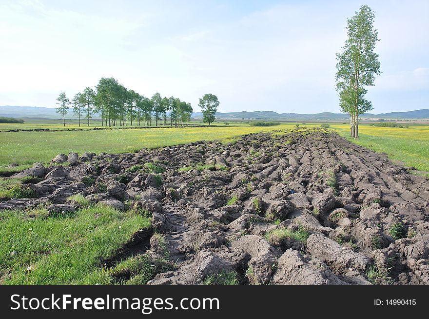 This is taken in saihanba grassland, there are a part of land starting plowed in early summer. This is taken in saihanba grassland, there are a part of land starting plowed in early summer.