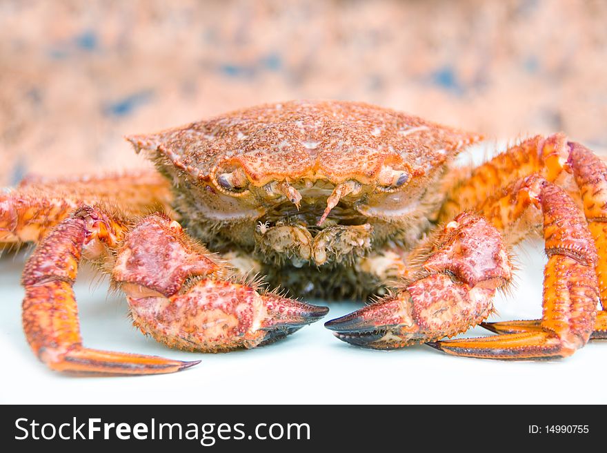 Crab (Erimacrus Isenbeckii
