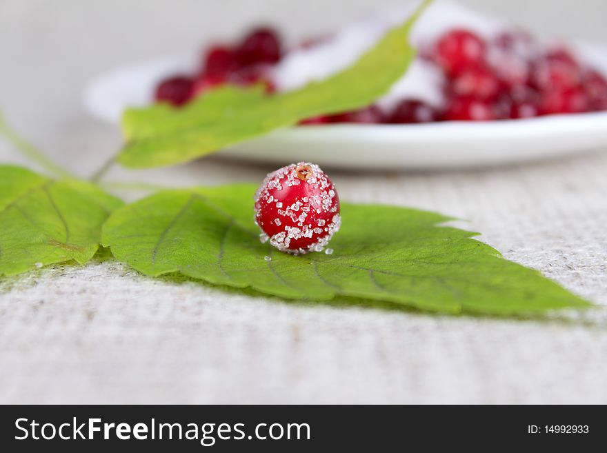 Green Leaf And Cowberry Sprinkled With Sugar