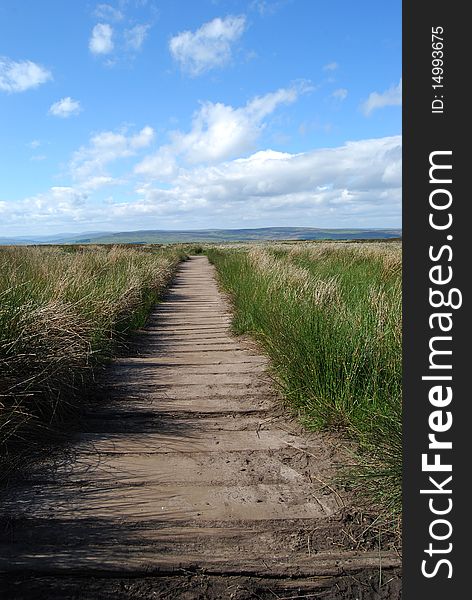 Postcard view of wooden path at Ilkley Moors