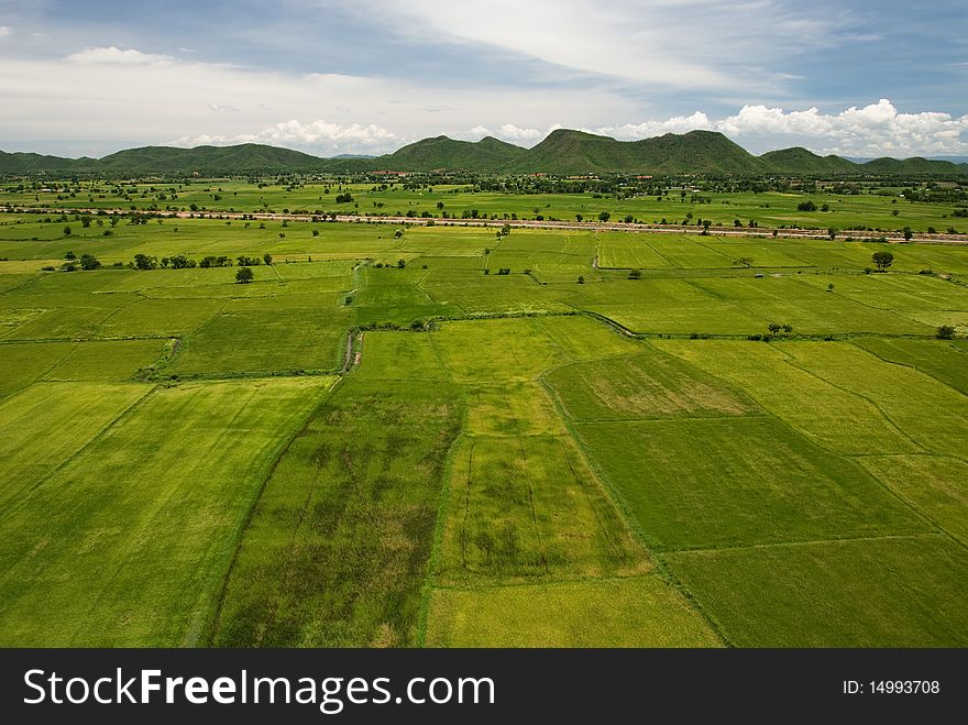 Green field with bird eyes view. Green field with bird eyes view