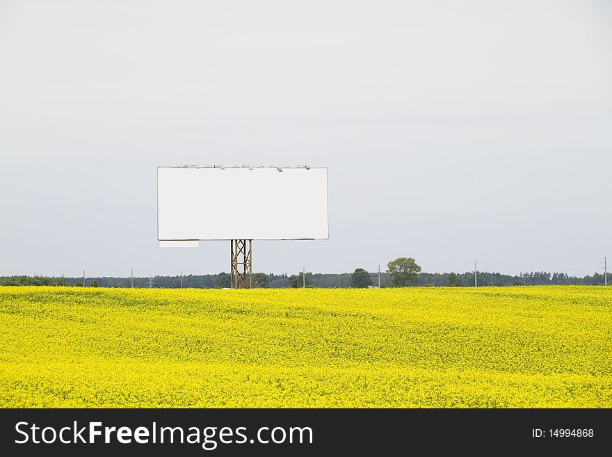 Sign on yellow rapeseed field. Sign on yellow rapeseed field