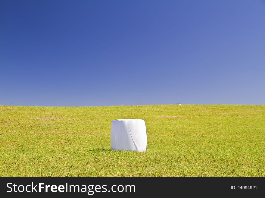 Green field, hay, blue sky