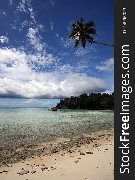 Beautiful beach with palm trees on the Togean Islands in Indonesia