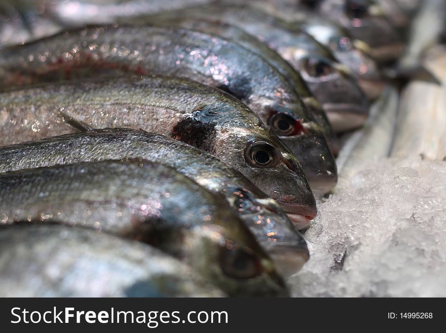 Fresh fish on fish market. Fresh fish on fish market