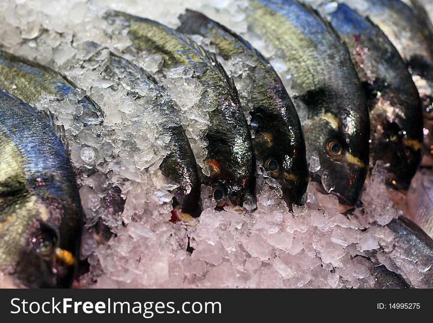 Fresh fish on fish market. Fresh fish on fish market