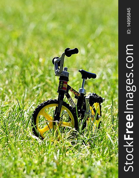Sport Bike In Grass