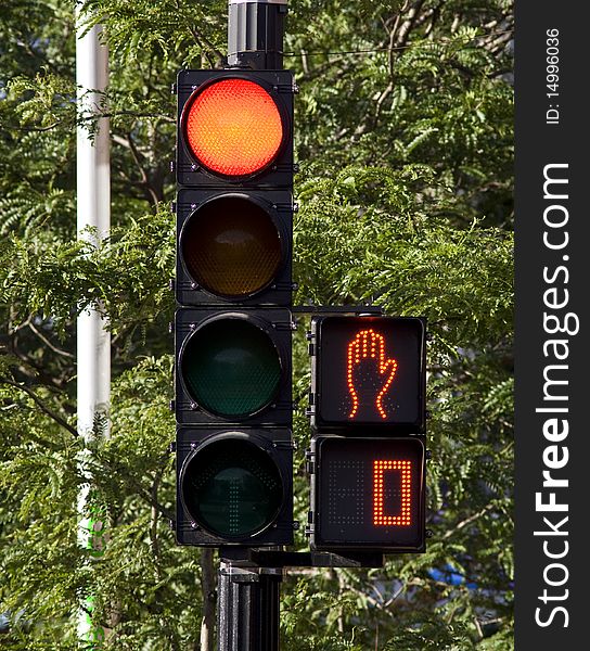 Set of stop lights with a tree on the background