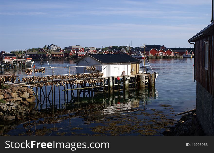 Fisherman S Houses On Lofoten