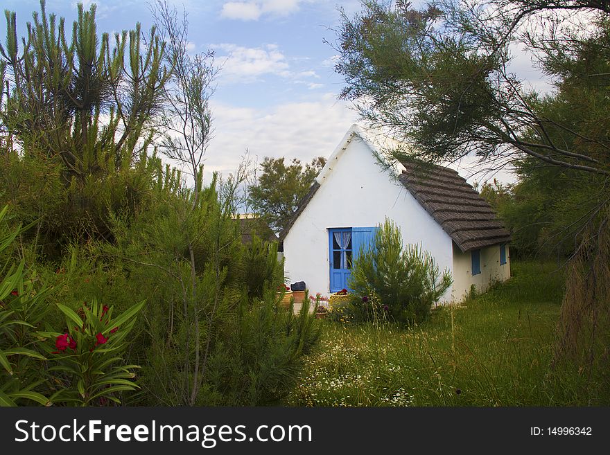 Home country of the Camargue in France. Home country of the Camargue in France