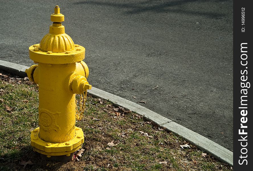 Bright Yellow Hydrant