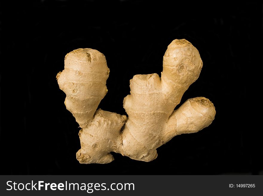 Root Of The Ginger