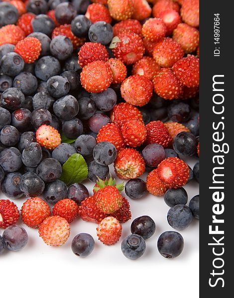 Wild strawberries and blueberries on a white background