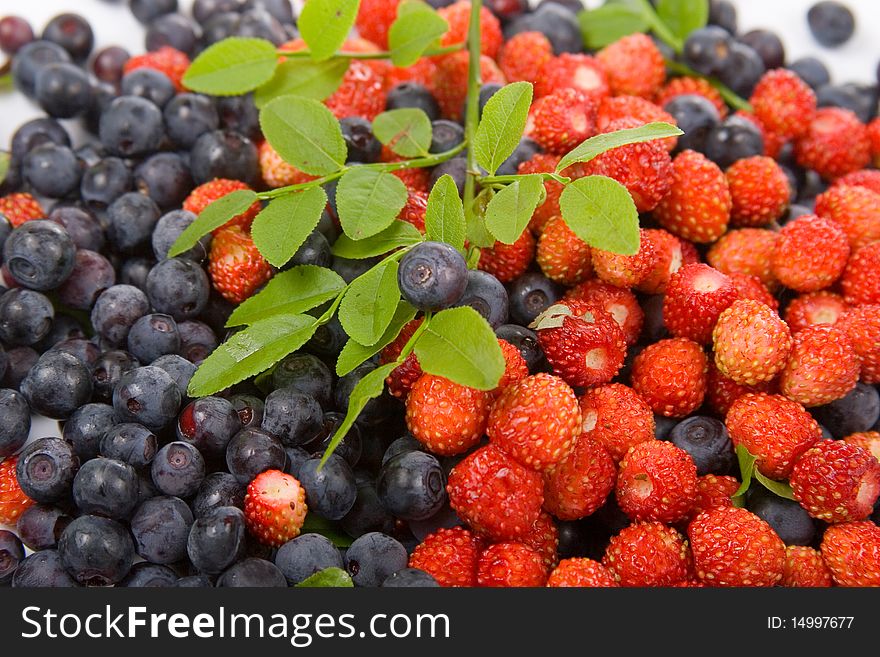 Wild strawberries and blueberries on a white background