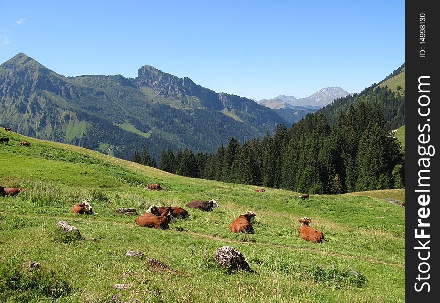 Site of the collar of neck, Swiss French border, in the department of high Savoy, France. Site of the collar of neck, Swiss French border, in the department of high Savoy, France