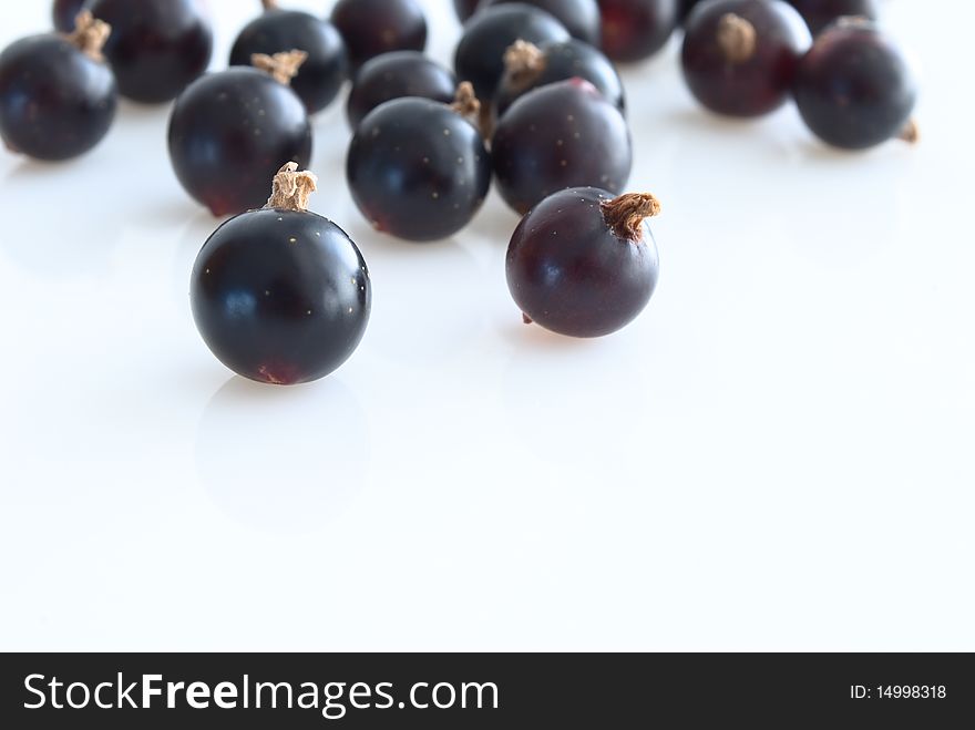 Berries, black currant, close-up, resting upon light background, copy space. Berries, black currant, close-up, resting upon light background, copy space.