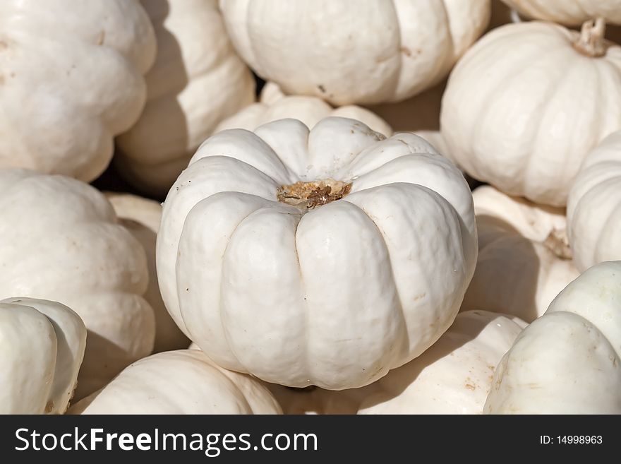 Colorful pumpkins collection on the market