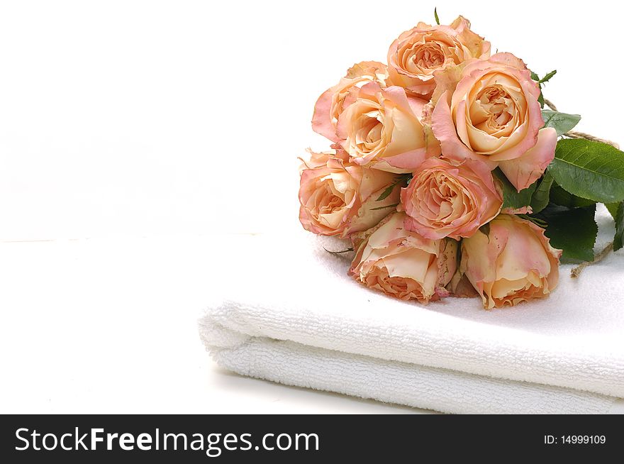 Beautiful rose laying on white towel background