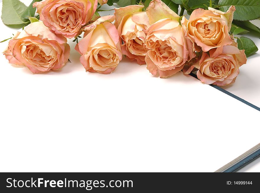 Laying on Bouquet of orange  roseswith a blank note on white