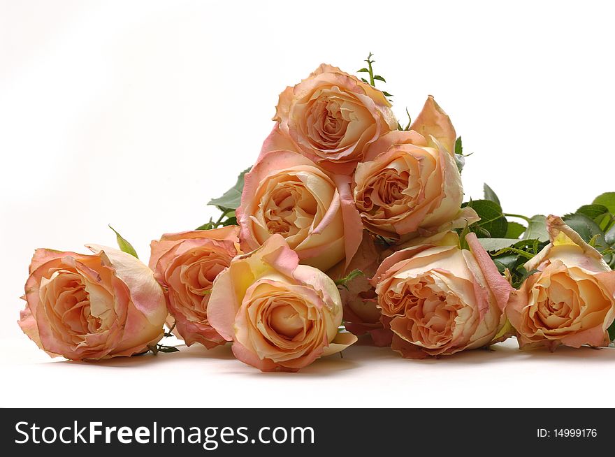 Laying on Bouquet of orange roses