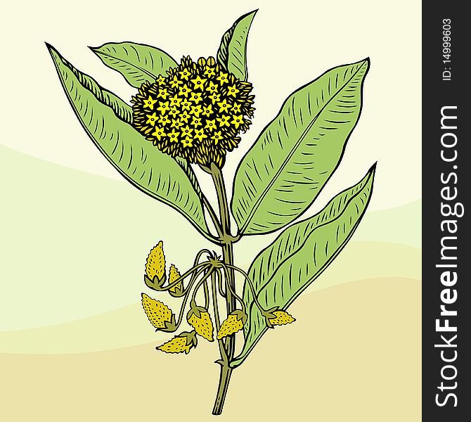 Hq-illustrated yellow flower. Easy to download, combine and use.