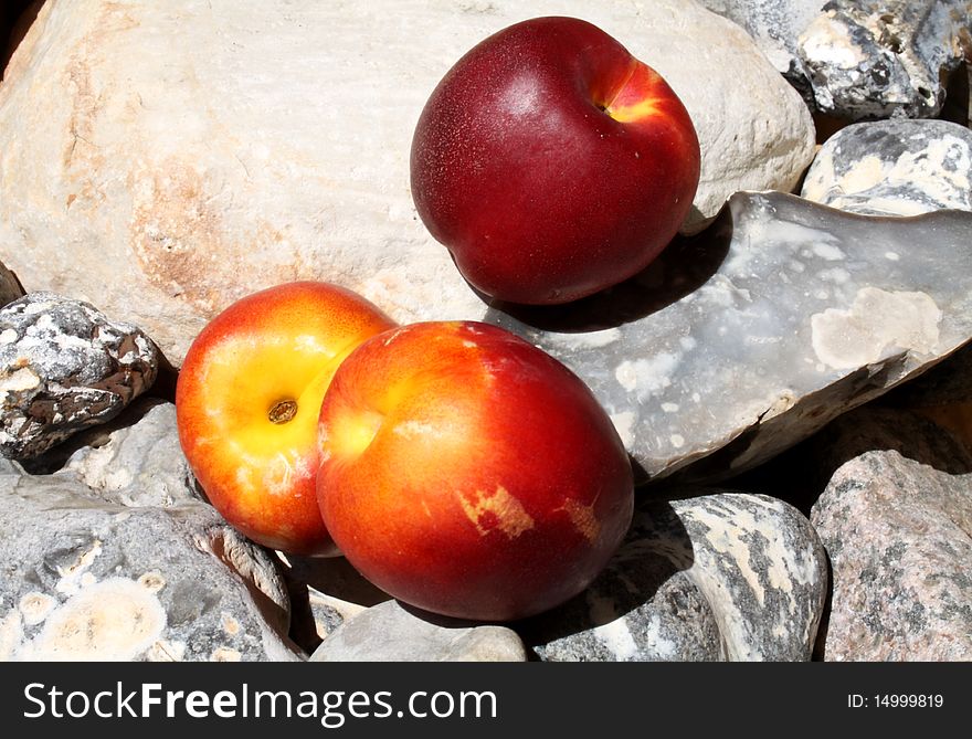 Nectarines on Baltic stones