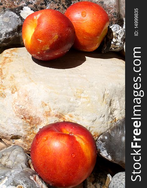 Three nectarines lie in the bulging sun on stones which come from the Baltic Sea in Germany. Three nectarines lie in the bulging sun on stones which come from the Baltic Sea in Germany.