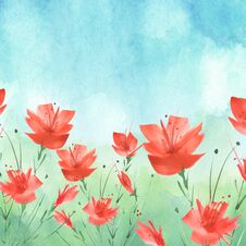 Watercolor Painting. A Bouquet Of Flowers Of Blue,red Poppies, Wildflowers On A White Isolated Background. Watercolor Floral Stock Image