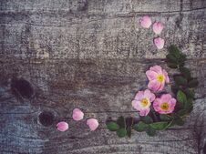 Beautiful, Spring Flowers Lying On Shabby Boards Stock Photography Beautiful, Spring Flowers Lying On Shabby Boards Stock Photography