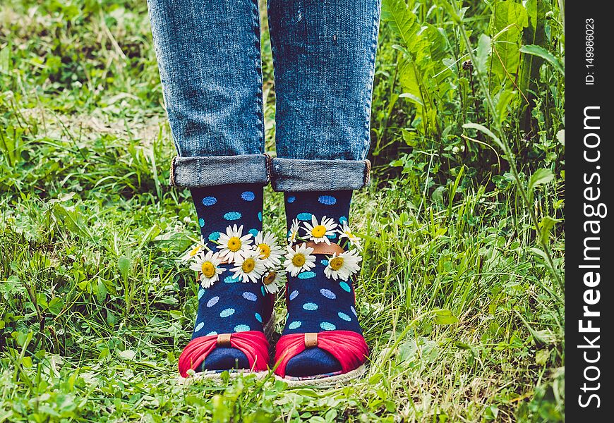 Women`s Legs, Fashionable Shoes And Bright Socks