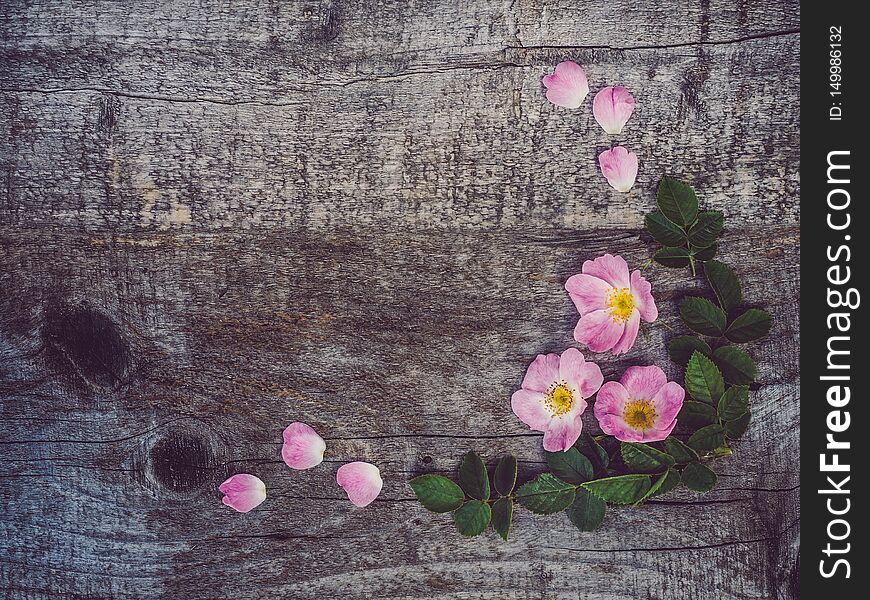 Beautiful, Spring Flowers Lying On Shabby Boards