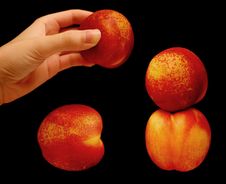Stacking Nectarines Royalty Free Stock Photos Stacking Nectarines Royalty Free Stock Photos