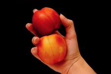 Nectarines Stock Photo Nectarines Stock Photo