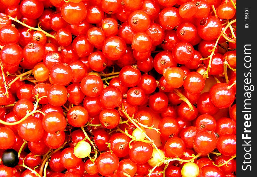 Red currants on the table. Red currants on the table