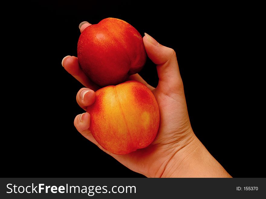 Hand holding nectarines